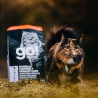 go! 雞肉 成貓 化毛泌尿保健貓糧 300克(貓飼料|貓糧)