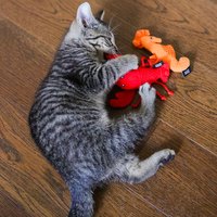 ZippyPaws 海底總動員 小海馬&小龍蝦 附貓草 貓玩具 寵物玩具