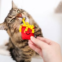 ZippyPaws 美味喵關係 快樂肥宅分享餐 附貓草 貓玩具 寵物玩具