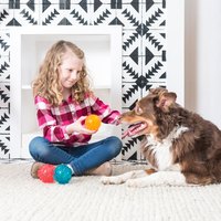 ZippyPaws 球就是經典 彈力球 耐啃咬 狗玩具 寵物玩具