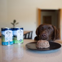 ZIWI巔峰 經典系列 鮮肉狗主食罐 (狗罐|罐頭)