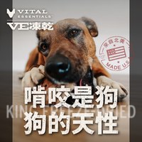 VE凍乾 牛腱棒 啃咬零食 (天然鈣質補給｜潔牙零食)