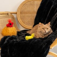 ZippyPaws 貓貓不要追 巢裡的小雞 附鈴鐺 貓草 寵物玩具