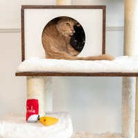 ZippyPaws 美味喵關係 披薩&可樂 附貓薄荷 寵物玩具