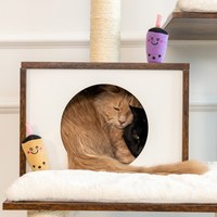 ZippyPaws 美味喵關係 芋見珍珠組 附貓薄荷 寵物玩具