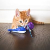 ZippyPaws 海底總動員 小水母&小鯨魚 附貓草 貓玩具 寵物玩具