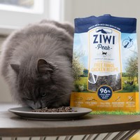 ZIWI巔峰 經典系列 鮮肉貓糧 雞肉口味 1公斤四件組 (貓飼料|生食肉片)