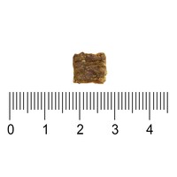 ZIWI巔峰 牛肉 經典系列 貓糧體驗包 (貓飼料|生食肉片)