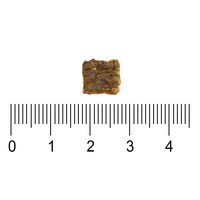 ZIWI巔峰 綜合口味 經典系列 貓糧 1公斤四口味各一 (貓飼料|生食肉片)