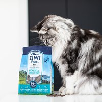 ZIWI巔峰 牛肉 經典系列 貓糧體驗包 (貓飼料|生食肉片)