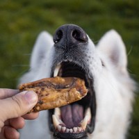 ZIWI巔峰 羊耳 乖狗狗天然潔牙骨 (寵物零食|狗零食)