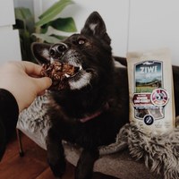 ZIWI巔峰 鹿肺鹿腎 乖狗狗天然潔牙骨 (寵物零食|狗零食)