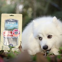 ZIWI巔峰 鹿肚 乖狗狗天然潔牙骨 (寵物零食|狗零食)