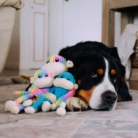 ZippyPaws 彩虹史賓賽 耐咬布偶 叭咘聲 寵物玩具