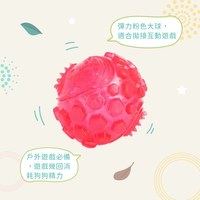 ZippyPaws 球就是經典 彈力球 耐啃咬 狗玩具 寵物玩具