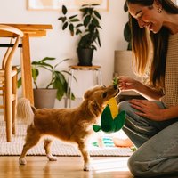 ZippyPaws 吵鬧蔬果攤 皺紋胖玉米 啾啾聲 狗玩具 寵物玩具