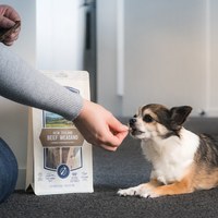 ZIWI巔峰 牛氣管 乖狗狗天然潔牙骨 (寵物零食|狗零食)