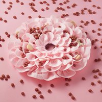 PetDreamHouse 配件-聞嗅藏食花-春日粉