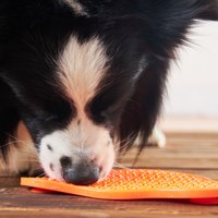 PetDreamHouse 爪爪星球口水舔食墊 夕陽橘(犬貓適用｜肉泥墊)