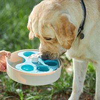 PetDreamHouse 調色盤 旋轉益智慢食碗(狗玩具|藏食玩具)