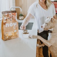 now 中型犬鮮肉無穀天然糧 (狗飼料|狗糧)