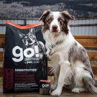 go! 羊肉 全犬 低致敏無穀狗糧 (狗飼料|犬糧)