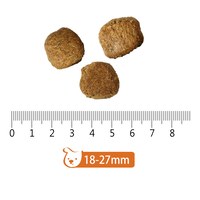 go! 雞肉鮭魚 成犬/高齡犬 口腔+免疫保健犬糧 (狗飼料|犬糧)