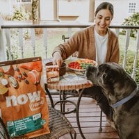 now 鮮肉大型成犬 無穀天然糧 (狗飼料|狗糧)