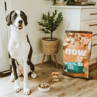 now 鮮肉大型老犬 無穀天然糧 (狗飼料|狗糧)