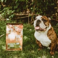 now 鮮肉小型老犬 無穀天然糧 (狗飼料|狗糧)