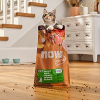 now 全口味300克天然糧 無穀貓糧 (貓飼料|貓糧)