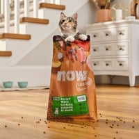 now 鮮肉幼貓 無穀天然糧 (貓飼料|貓糧)
