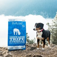 PetKind野胃 火雞 天然鮮草肚狗糧 (狗飼料|無榖)