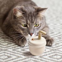 ROOMMI 雷射滾滾逗貓器 (可填充貓草|雷射逗貓)