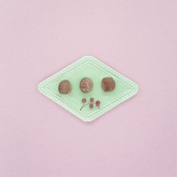 KiWiPet天然零食 沙丁牛肉球 凍乾零食 (原肉零食|寵物零食)