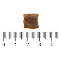 ZIWI巔峰 牛肉 經典系列狗糧 體驗包 (狗飼料|生食肉片)