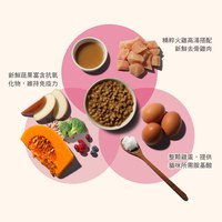 now 全口味 貓咪高湯天然糧 (乾濕兩吃|貓糧)