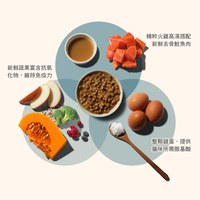 now 鮭魚成貓 高湯天然糧 (乾濕兩吃|貓糧)