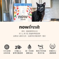 now 全口味 貓咪高湯天然糧 (乾濕兩吃|貓糧)
