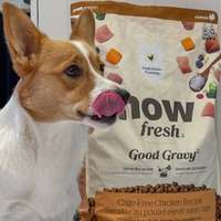 now 雞肉中型成犬 高湯天然糧 (乾濕兩吃|狗糧)