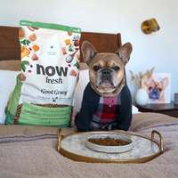 now 雞肉小型成犬 高湯天然糧 (乾濕兩吃|狗糧)