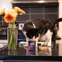 go! 全口味 貓鮮食利樂餐包 (貓罐|主食罐)