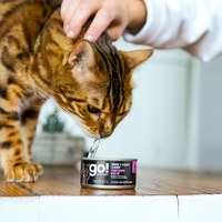 go! 德國貓罐 雞肉蔬果 豐醬肉泥主食罐 ( 貓罐 | 主食罐 )