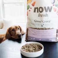 now 鮭魚中型成犬 高湯天然糧 (乾濕兩吃|狗糧)