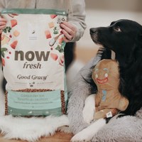 now 鮭魚小型成犬 高湯天然糧 (乾濕兩吃|狗糧)