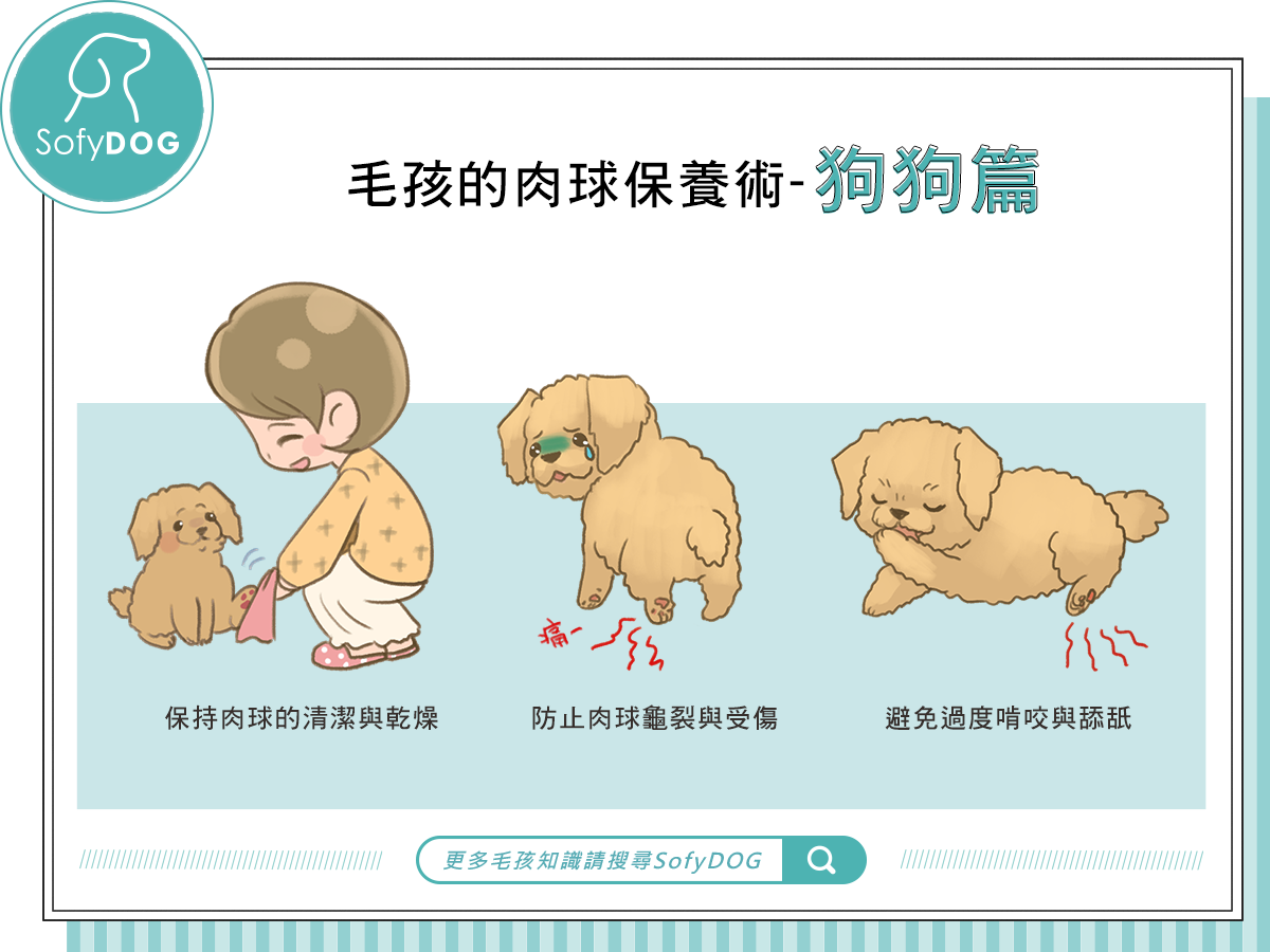 毛孩的肉球保養術-狗狗篇