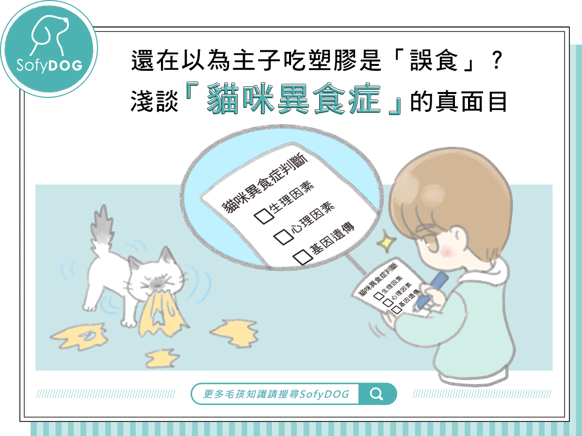 還在以為主子吃塑膠是「誤食」？淺談「貓咪異食症」的真面目