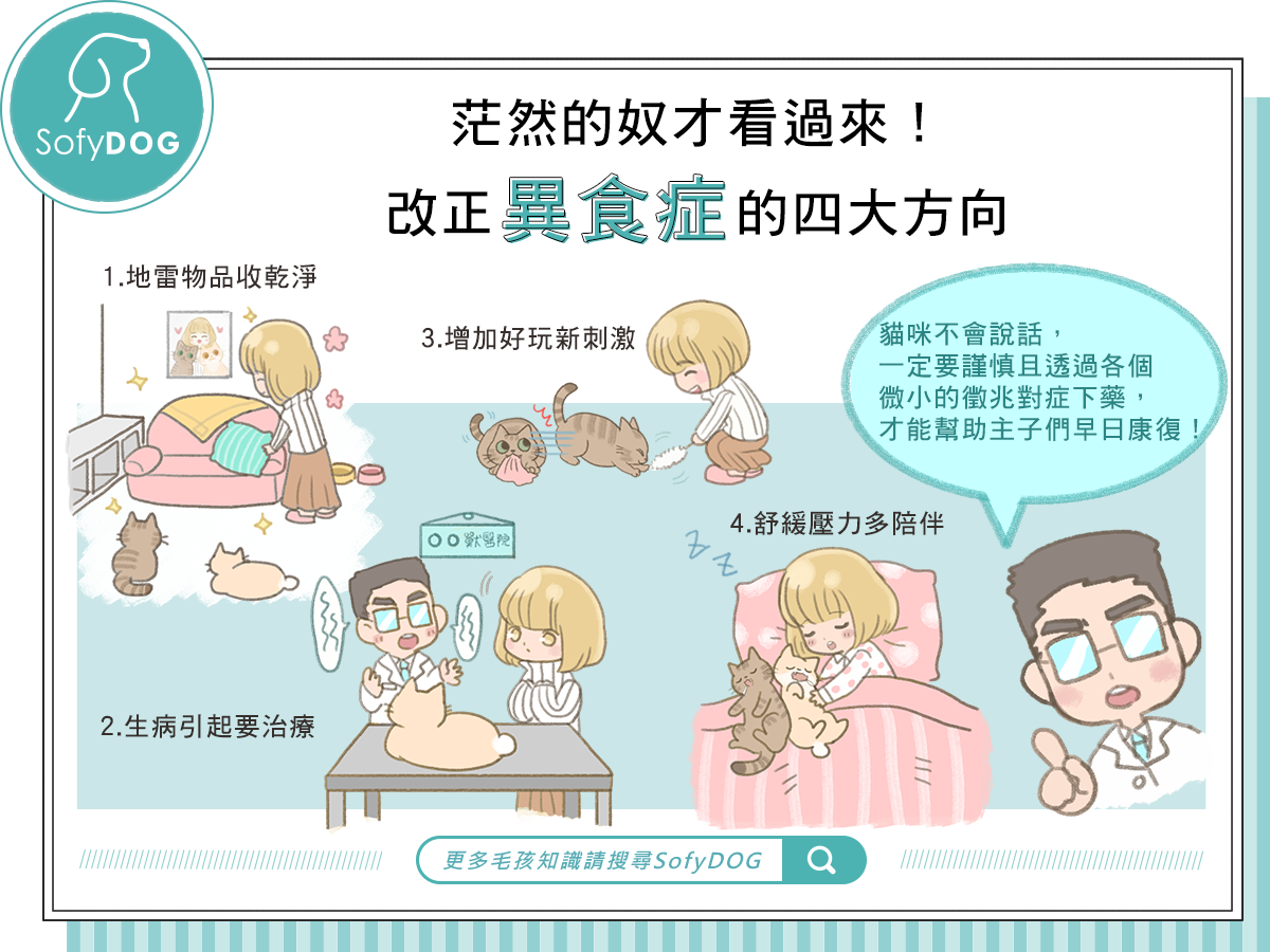 茫然的奴才看過來！改正異食症的四大方向