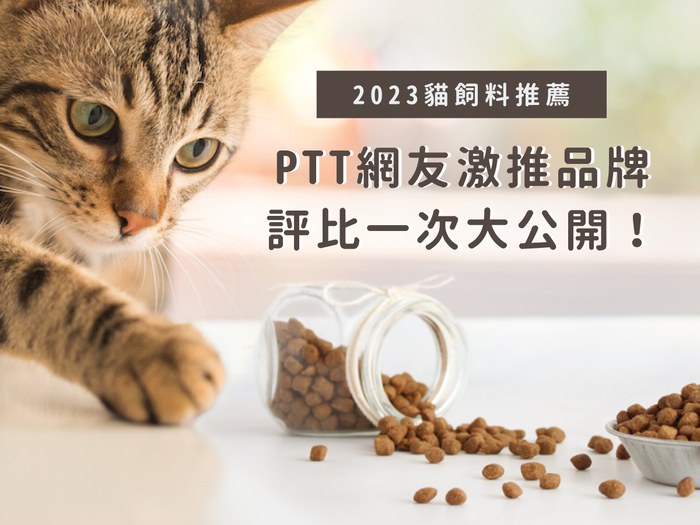 2023 貓飼料推薦｜PTT 網友激推品牌，評比一次大公開！