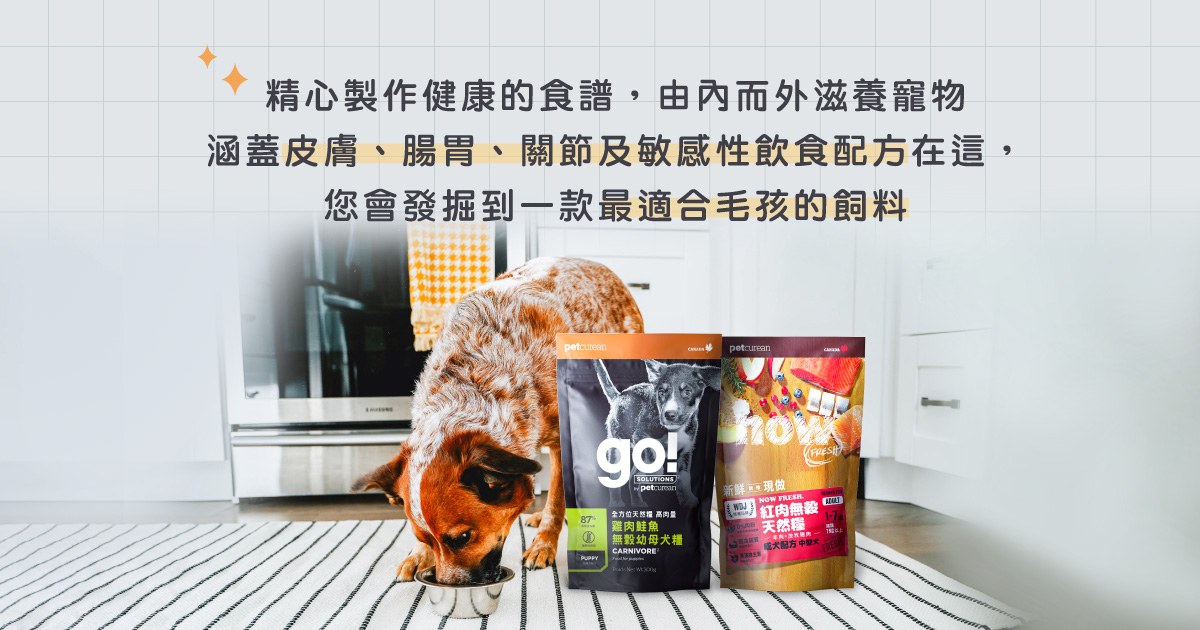 《團購優惠》乾乾飼料8折起